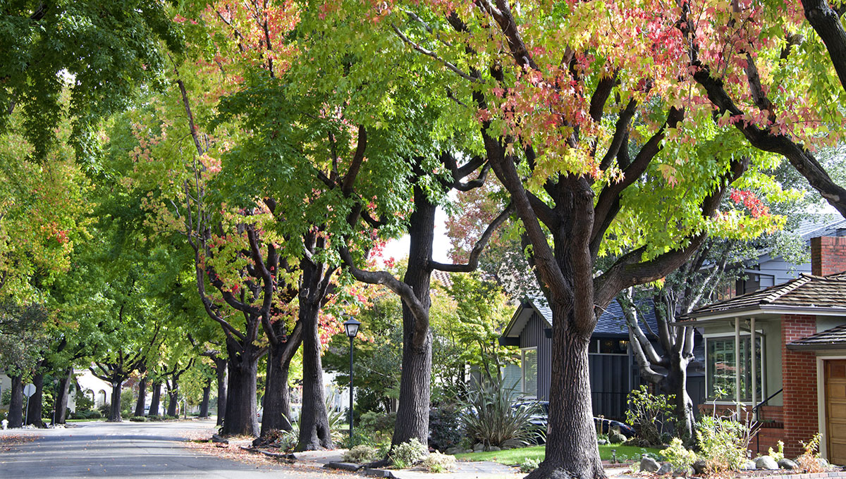 neighborhood 6766 S. Evanston Ave., Tulsa, OK 74136
