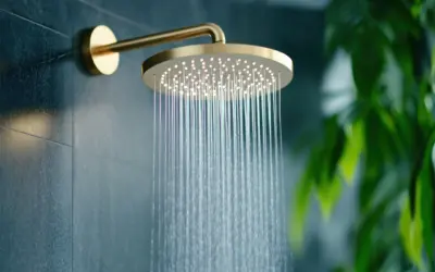 How to Transform Your Shower Into a Spa: Customized Options That Promote Wellness and Relaxation