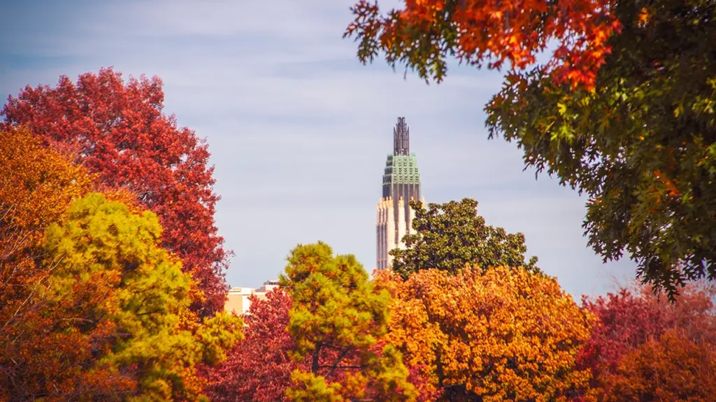 You Won’t Believe These 10 Tulsa Spots — Must‑See Gems for Homeowners & Design Lovers! 9 boston avenue fall folage