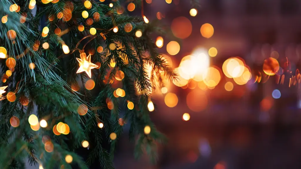 tulsa chrismas lights 1